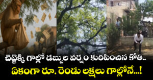 చెట్టెక్కి గాల్లో డబ్బుల వర్షం కురిపించిన కోతి.. ఏకంగా రూ. రెండు లక్షలు గాల్లోనే...!
