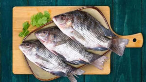 Fish: వర్షాకాలంలో చేపలు తింటే శరీరంలో ఏం జరుగుతుందో తెలుసా..? ఇవి కచ్చితంగా తెలుసుకోండి..