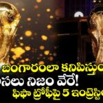 బంగారంలా కనిపిస్తుంది.. కానీ అసలు నిజం వేరే! ఫిఫా ట్రోఫీపై 5 ఇంట్రెస్టింగ్ ఫ్యాక్ట్స్!