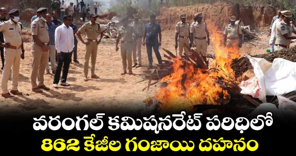 వరంగల్ కమిషనరేట్ పరిధిలో 862 కేజీల గంజాయి దహనం