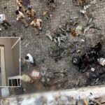 Ahmedabad Serial Blasts Case: వరుస బాంబు పేలుళ్ల కేసులో సంచలన తీర్పు.. 38 మందికి ఉరిశిక్ష ఖరారు