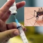 India First Dengue Vaccine: శుభవార్త.. భారత్‌లో తొలి డెంగ్యూ వ్యాక్సిన్‌కు ఆమోదం.. ఎవరికి? ఎన్ని డోసులు? పూర్తి వివరాలు