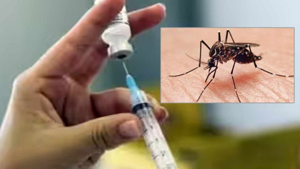 India First Dengue Vaccine: శుభవార్త.. భారత్‌లో తొలి డెంగ్యూ వ్యాక్సిన్‌కు ఆమోదం.. ఎవరికి? ఎన్ని డోసులు? పూర్తి వివరాలు