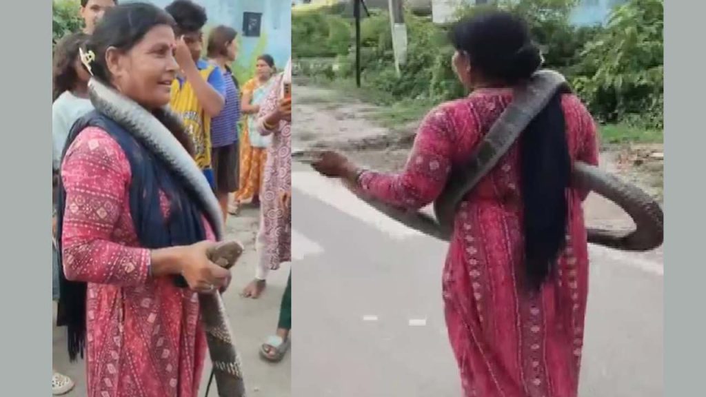 King Cobra Rescue: అమ్మబాబోయ్.. 10 అడుగుల రాచనాగుని చుట్టుకుని బయటకు వచ్చిన మహిళ (వీడియో)