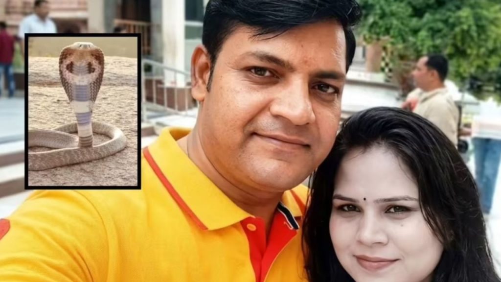Murder Case: భార్యను కసితీరా చంపాడు.. 620కి.మీ ప్రయాణించి నాగపామును పట్టుకొచ్చి.. చివరికి..!
