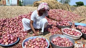Onion Price Hike: కొనుగోలు ధరను క్వింటాల్‌కు రూ. 2,125 పెంచిన ప్రభుత్వం.. ఉల్లి ధరలు మరింత పెరుగుతాయా? పూర్తి వివరాలు