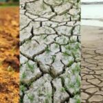 Telangana Drought Alert: వాన జాడే లేదు.. కరువు కోరల్లోకి తెలంగాణ.. రైతుల్లో పెరుగుతున్న ఆందోళన!