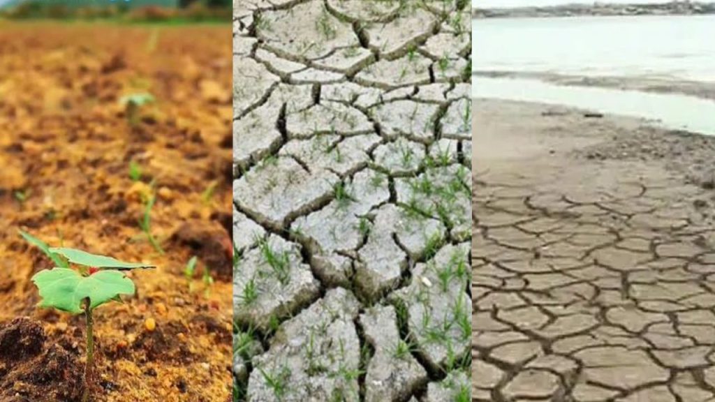 Telangana Drought Alert: వాన జాడే లేదు.. కరువు కోరల్లోకి తెలంగాణ.. రైతుల్లో పెరుగుతున్న ఆందోళన!