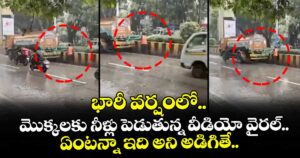 భారీ వర్షంలో మొక్కలకు నీళ్లు పెడుతున్న వీడియో వైరల్.. ఏంటన్నా ఇది అని అడిగితే..