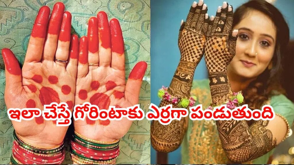 గోరింటాకు ఎర్రగా పండాలంటే ఈ చిన్న చిట్కా పాటించండి చాలు.. ఇది మాత్రం 100% ఎవ్వరికీ తెలీదు..