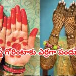 గోరింటాకు ఎర్రగా పండాలంటే ఈ చిన్న చిట్కా పాటించండి చాలు.. ఇది మాత్రం 100% ఎవ్వరికీ తెలీదు..