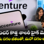యాక్సెంచర్ కొత్త శాలరీ హైక్ మోడల్.. ఉద్యోగులకు సగం జీతంతో, మరో సగం లంప్‌సమ్ పే