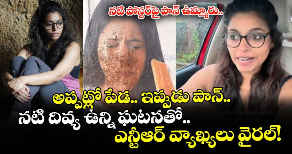 Divya Unny: అప్పట్లో పేడ.. ఇప్పుడు పాన్.. నటి దివ్య ఉన్ని ఘటనతో ఎన్టీఆర్ వ్యాఖ్యలు వైరల్!
