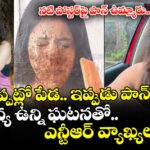 Divya Unny: అప్పట్లో పేడ.. ఇప్పుడు పాన్.. నటి దివ్య ఉన్ని ఘటనతో ఎన్టీఆర్ వ్యాఖ్యలు వైరల్!
