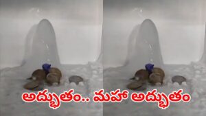 Viral Video: అద్భుతం.. మహా అద్భుతం.. ఇంట్లో వెలసిన మంచు శివలింగం! ఇదిగో వీడియో..