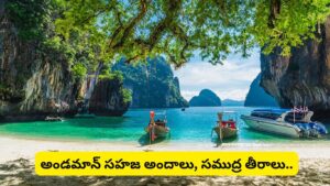 IRCTC: అండమాన్ ట్రిప్ ప్లాన్ చేస్తున్నారా? 5 రోజుల్లో పోర్ట్ బ్లెయిర్, హావ్‌లాక్, నీల్ ఐలాండ్ సందర్శన.. ప్యాకేజీ ధరలు ఇవే!