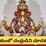 అనిరుద్ధ వినాయక చతుర్థి: రవి యోగంలో గణేశ పూజకు శుభ సమయం.. చంద్ర దర్శన నిషేధ టైమ్ ఇదే