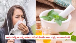 Home Remedies: మీ ఇంట్లో వాము మొక్క ఉందా?.. వర్షాకాలంలో వచ్చే సీజనల్ రోగాలకు చెక్ పెట్టే అద్భుతమైన ఆయుర్వేద చిట్కా