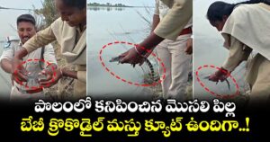 పొలంలో కనిపించిన మొసలి పిల్ల.. బేబీ క్రొకొడైల్ మస్తు క్యూట్ ఉందిగా..!