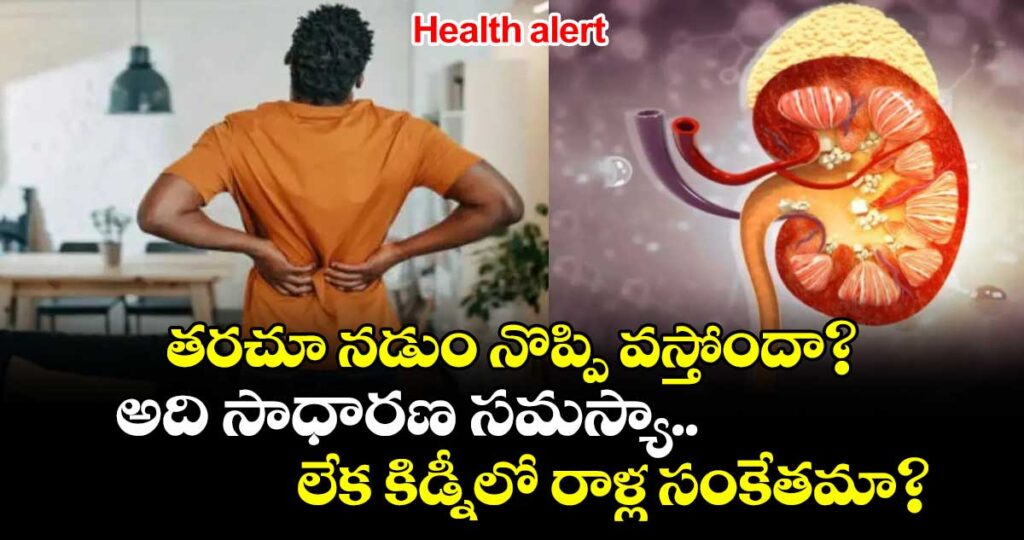 Health alert: తరచూ నడుం నొప్పి వస్తోందా? అది సాధారణ సమస్యా.. లేక కిడ్నీలో రాళ్ల సంకేతమా?