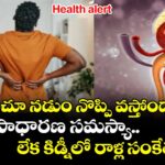 Health alert: తరచూ నడుం నొప్పి వస్తోందా? అది సాధారణ సమస్యా.. లేక కిడ్నీలో రాళ్ల సంకేతమా?
