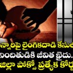 చిన్నారిపై లైంగికదాడి కేసులో..  నిందితుడికి జీవిత ఖైదు..మెదక్  జిల్లా పోక్సో  ప్రత్యేక కోర్టు తీర్పు