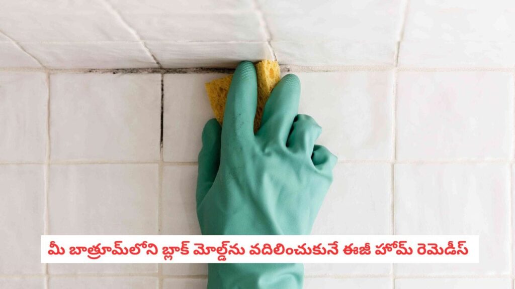Cleaning Hacks: బాత్రూమ్ వాల్స్ కు ఈ బ్లాక్ మోల్డ్ కనిపిస్తే అస్సలు లేట్ చేయకండి.. ఇలా చేస్తే దెబ్బకు మొత్తం క్లీన్!