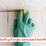 Cleaning Hacks: బాత్రూమ్ వాల్స్ కు ఈ బ్లాక్ మోల్డ్ కనిపిస్తే అస్సలు లేట్ చేయకండి.. ఇలా చేస్తే దెబ్బకు మొత్తం క్లీన్!