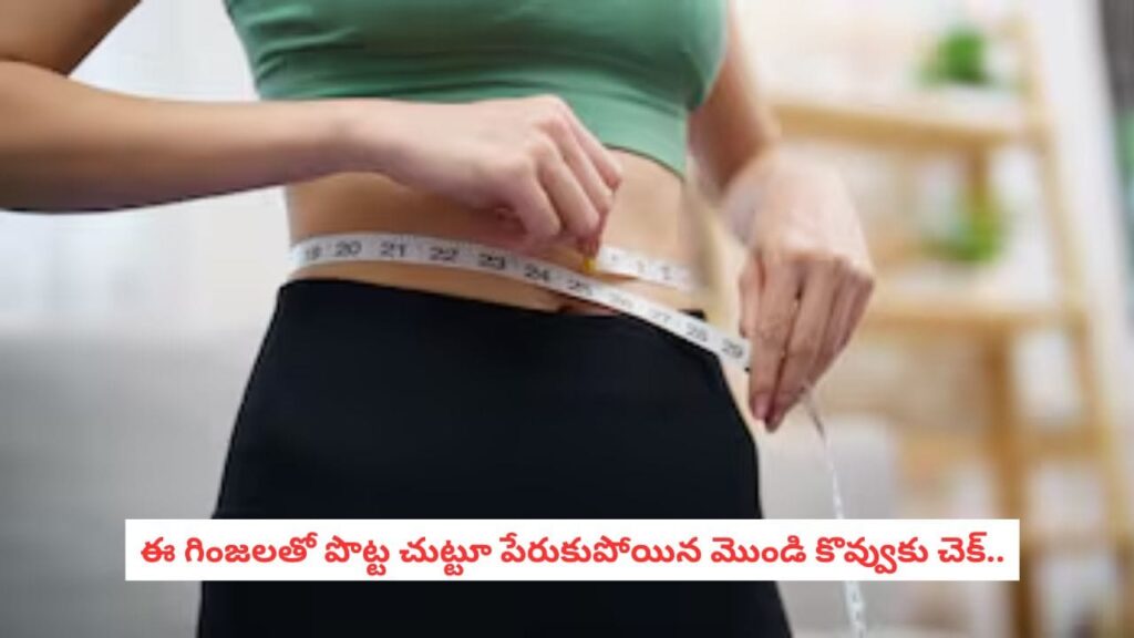 Weight Loss Seeds: కొవ్వును వెన్నలా కరిగించే ‘సూపర్ సీడ్స్’.. రోజువారీ డైట్‌లో ఇవి ఉంటే బరువు తగ్గడం భలే ఈజీ!