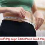 Weight Loss Seeds: కొవ్వును వెన్నలా కరిగించే ‘సూపర్ సీడ్స్’.. రోజువారీ డైట్‌లో ఇవి ఉంటే బరువు తగ్గడం భలే ఈజీ!