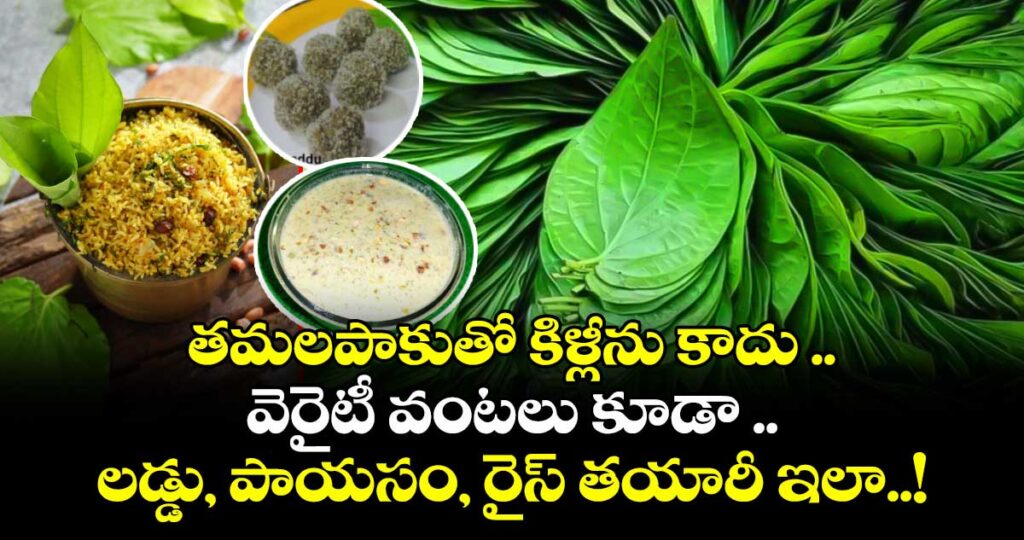 తమలపాకుతో కిళ్లీను కాదు .. వెరైటీ వంటలు కూడా ..  లడ్డు, పాయసం,  రైస్  తయారీ ఇలా..!