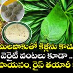 తమలపాకుతో కిళ్లీను కాదు .. వెరైటీ వంటలు కూడా ..  లడ్డు, పాయసం,  రైస్  తయారీ ఇలా..!