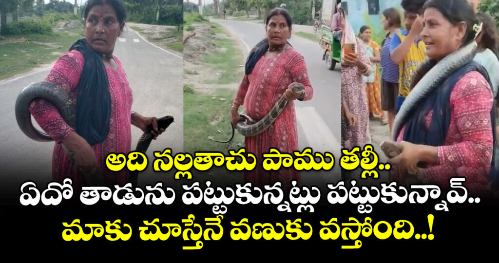 అది నల్లతాచు పాము తల్లీ.. ఏదో తాడును పట్టుకున్నట్లు పట్టుకున్నావ్.. మాకు చూస్తేనే వణుకు వస్తోంది..!