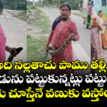 అది నల్లతాచు పాము తల్లీ.. ఏదో తాడును పట్టుకున్నట్లు పట్టుకున్నావ్.. మాకు చూస్తేనే వణుకు వస్తోంది..!