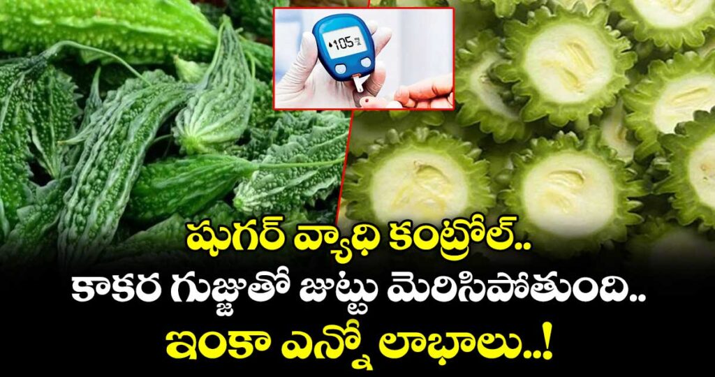 Good Health :  షుగర్ వ్యాధి కంట్రోల్.. కాకర గుజ్జుతో జుట్టు మెరిసిపోతుంది.. ఇంకా ఎన్నో లాభాలు..!