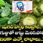 Good Health :  షుగర్ వ్యాధి కంట్రోల్.. కాకర గుజ్జుతో జుట్టు మెరిసిపోతుంది.. ఇంకా ఎన్నో లాభాలు..!
