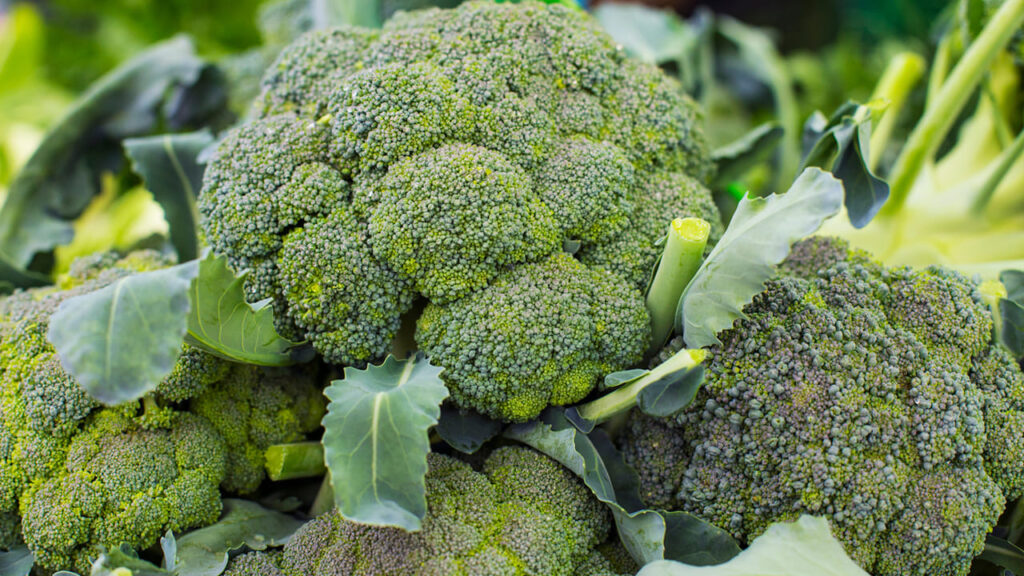 Broccoli: అమ్మ బాబోయ్..బ్రోకలీ తింటే ఇన్ని లాభాలున్నాయా..?
