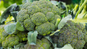 Broccoli: అమ్మ బాబోయ్..బ్రోకలీ తింటే ఇన్ని లాభాలున్నాయా..?