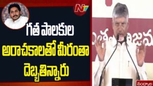 CM Chandrababu: రైతులకు పట్టాదారు పాసుపుస్తకాలు పంపిణీ.. భువివాదాలు లేకుండా చేస్తాం..