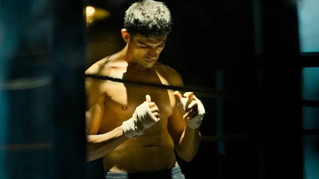 Cinema : థియేటర్లలో యావరేజ్.. కట్ చేస్తే.. నేషనల్ అవార్డులలో సత్తా చాటిన సినిమా.. ఇప్పుడు ఓటీటీలో ట్రెండింగ్..