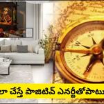 Vastu Tips: చాతుర్మాసంలో ఈ 5 పనులు తప్పక చేయండి.. ఇంట్లో ప్రతికూల శక్తి దూరం, లక్ష్మీ కటాక్షం మీ సొంతం!
