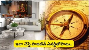 Vastu Tips: చాతుర్మాసంలో ఈ 5 పనులు తప్పక చేయండి.. ఇంట్లో ప్రతికూల శక్తి దూరం, లక్ష్మీ కటాక్షం మీ సొంతం!