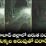 నిజామాబాద్ జిల్లాలో చిరుత సంచారం... కుక్కల అరుపుతో పరార్..