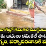 వాకిట్లో కెమికల్ ముగ్గులు.. పేడకు బదులు కెమికల్ పౌడర్..ఆరోగ్యం, పర్యావరణానికి ముప్పు!