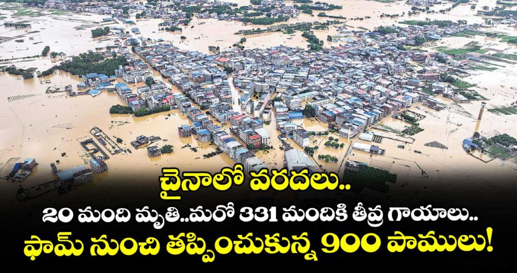 చైనాలో వరదలు..  20 మంది మృతి..మరో 331 మందికి తీవ్ర గాయాలు..ఫామ్ నుంచి తప్పించుకున్న 900 పాములు!