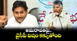 అమరావతిపై వైసీపీ విషం కక్కుతోంది: సీఎం చంద్రబాబు