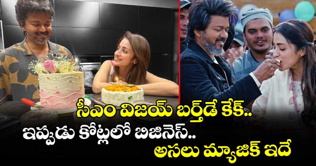 Vijay Birthday Cake: సీఎం విజయ్ బర్త్‌డే కేక్.. ఇప్పుడు కోట్లలో బిజినెస్.. అసలు మ్యాజిక్ ఇదే