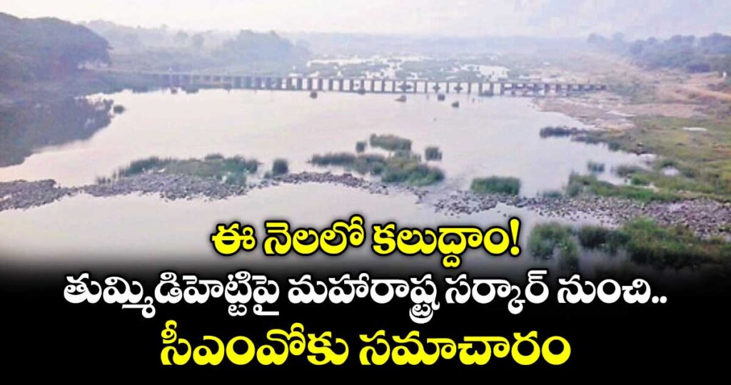 ఈ నెలలో కలుద్దాం! తుమ్మిడిహెట్టిపై మహారాష్ట్ర సర్కార్ నుంచి సీఎంవోకు సమాచారం