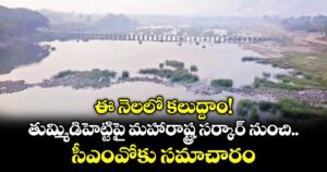 ఈ నెలలో కలుద్దాం! తుమ్మిడిహెట్టిపై మహారాష్ట్ర సర్కార్ నుంచి సీఎంవోకు సమాచారం