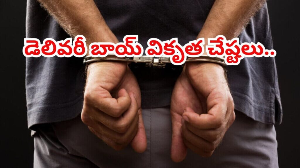 ఇలా తయారయ్యారేంట్రా! డెలివరీ బాయ్ వికృత చేష్టలు.. వాష్‌రూమ్ సాకుతో ఇంట్లోకి దూరి..